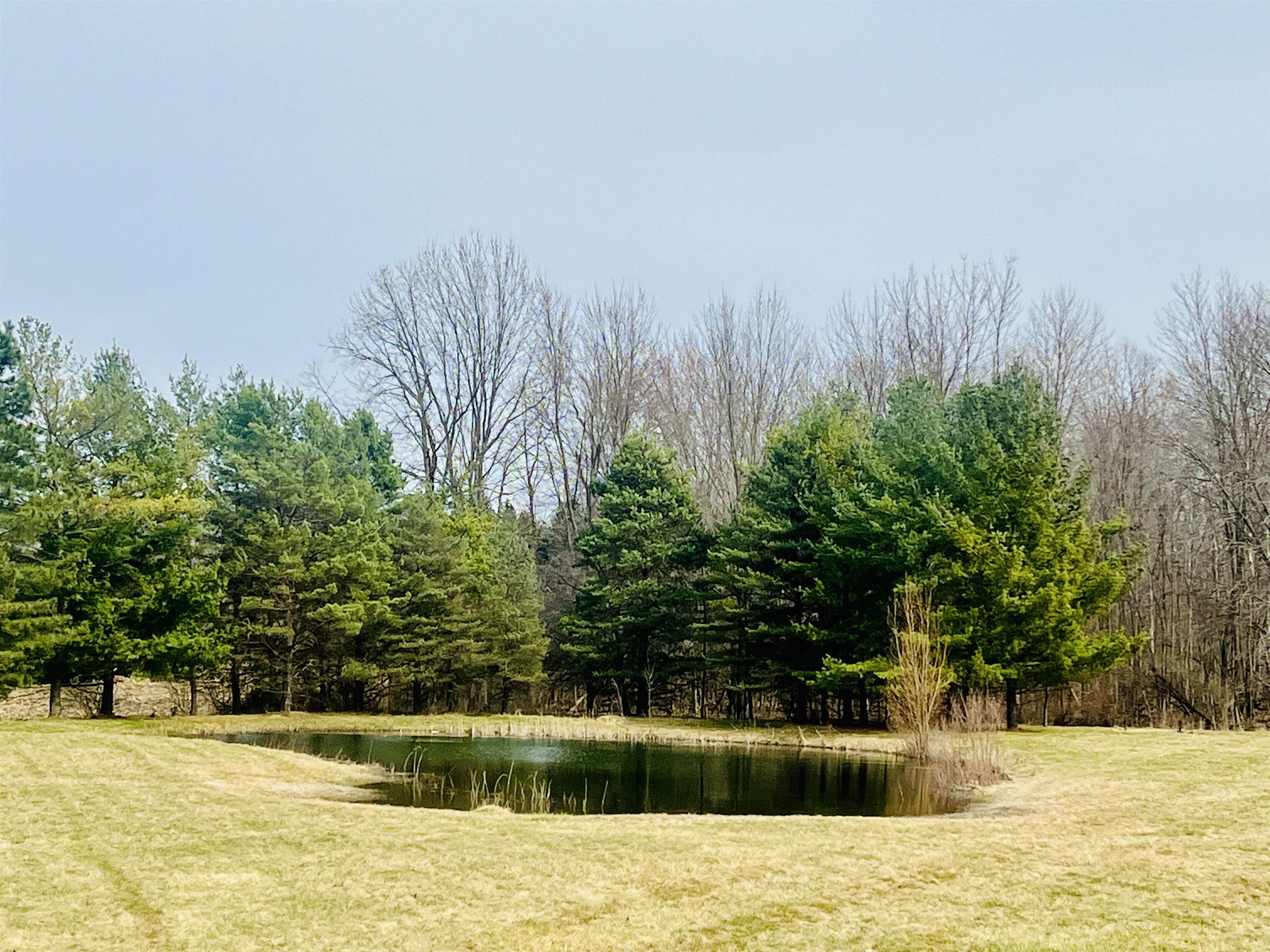 8945 North Belsay Road Millington, MI 48746 - Photo 59 of 66 50135850-78156854-bf89-4d80-8907-07870862bead.JPG
