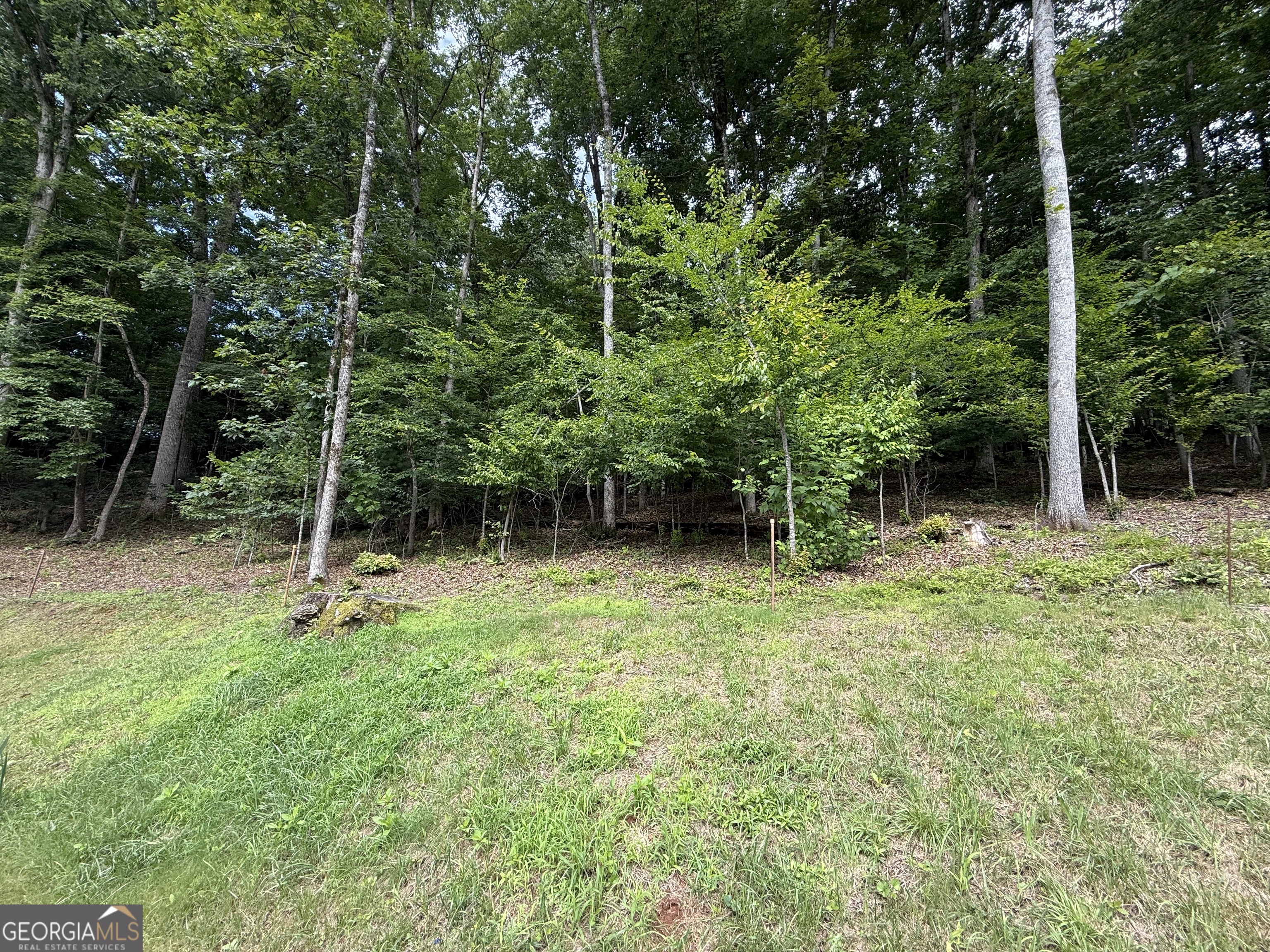 248 Ledford Chapel Road Hayesville, NC 28904 - Photo 16 of 24