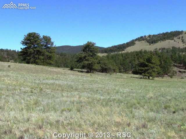 1360 Julia Road Guffey, CO 80820 - Photo 5 of 18