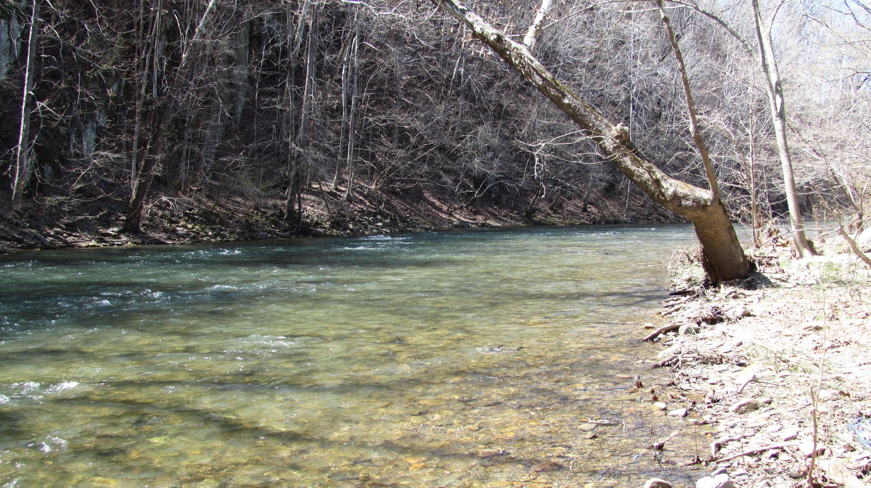 4928 Southwest River Road Salem, VA 24153 - Photo 1 of 5 River Frontage