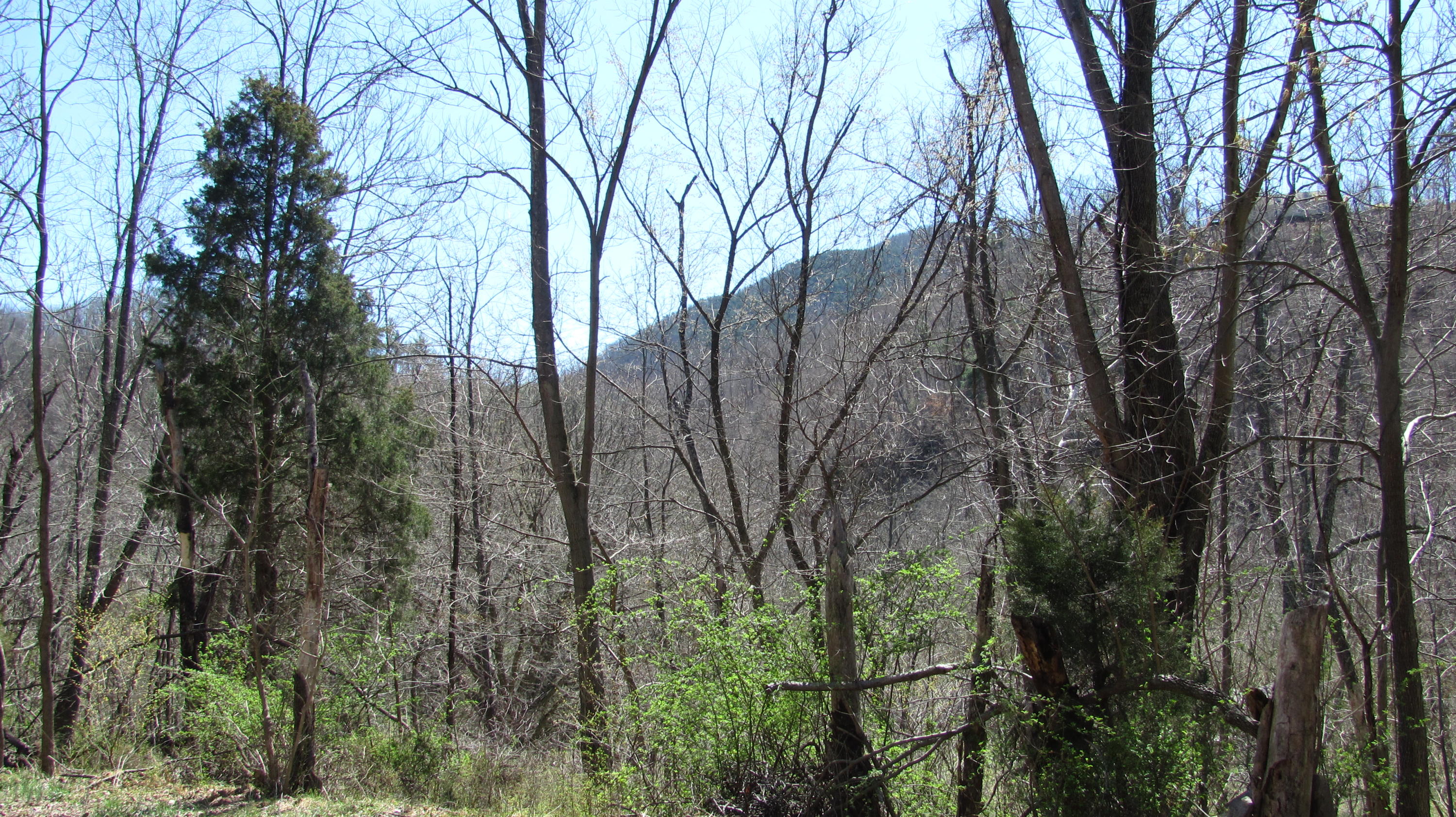 4928 Southwest River Road Salem, VA 24153 - Photo 4 of 5 IMG_2960.JPG