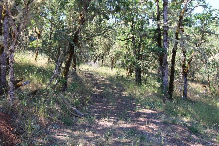 6723 Old Stage Road Central Point, OR 97502 - Photo 2 of 16 Additional Photo