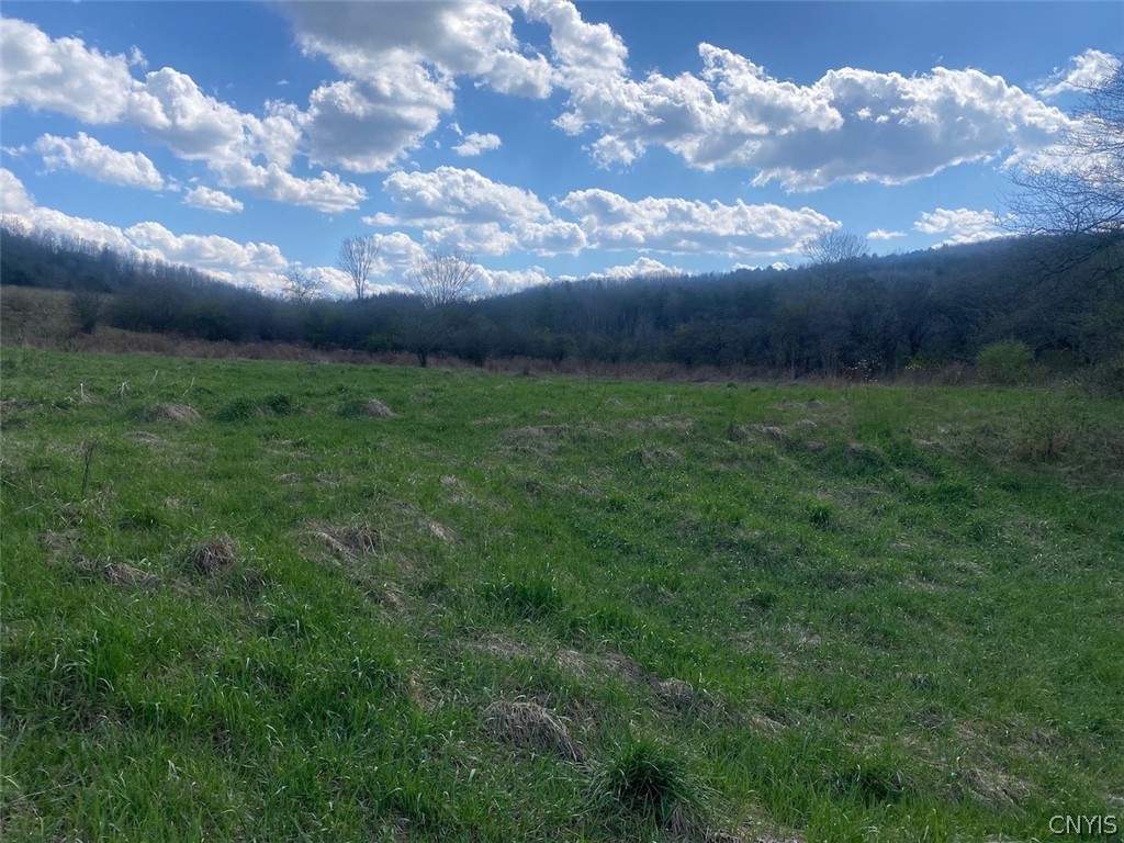 Reddy Road Belmont, NY 14813 - Photo 12 of 15