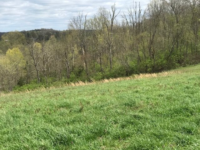 Menzie Bottoms Road Butler, KY 41006 - Photo 35 of 39 Gallery Image 35