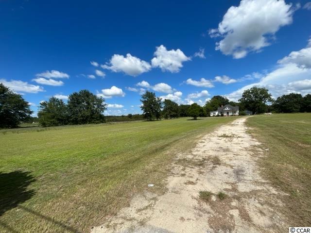428 Mt Calvary Road Dillon, SC 29536 - Photo 2 of 40 Gallery Image 2