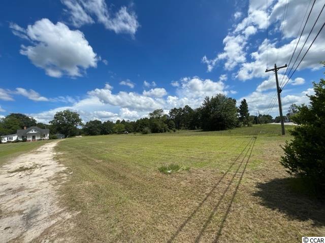 428 Mt Calvary Road Dillon, SC 29536 - Photo 34 of 40 Gallery Image 34