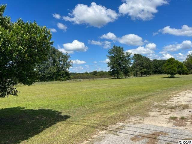 428 Mt Calvary Road Dillon, SC 29536 - Photo 35 of 40 Gallery Image 35