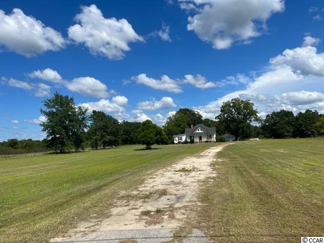 428 Mt Calvary Road Dillon, SC 29536 - Photo 36 of 40 Gallery Image 36