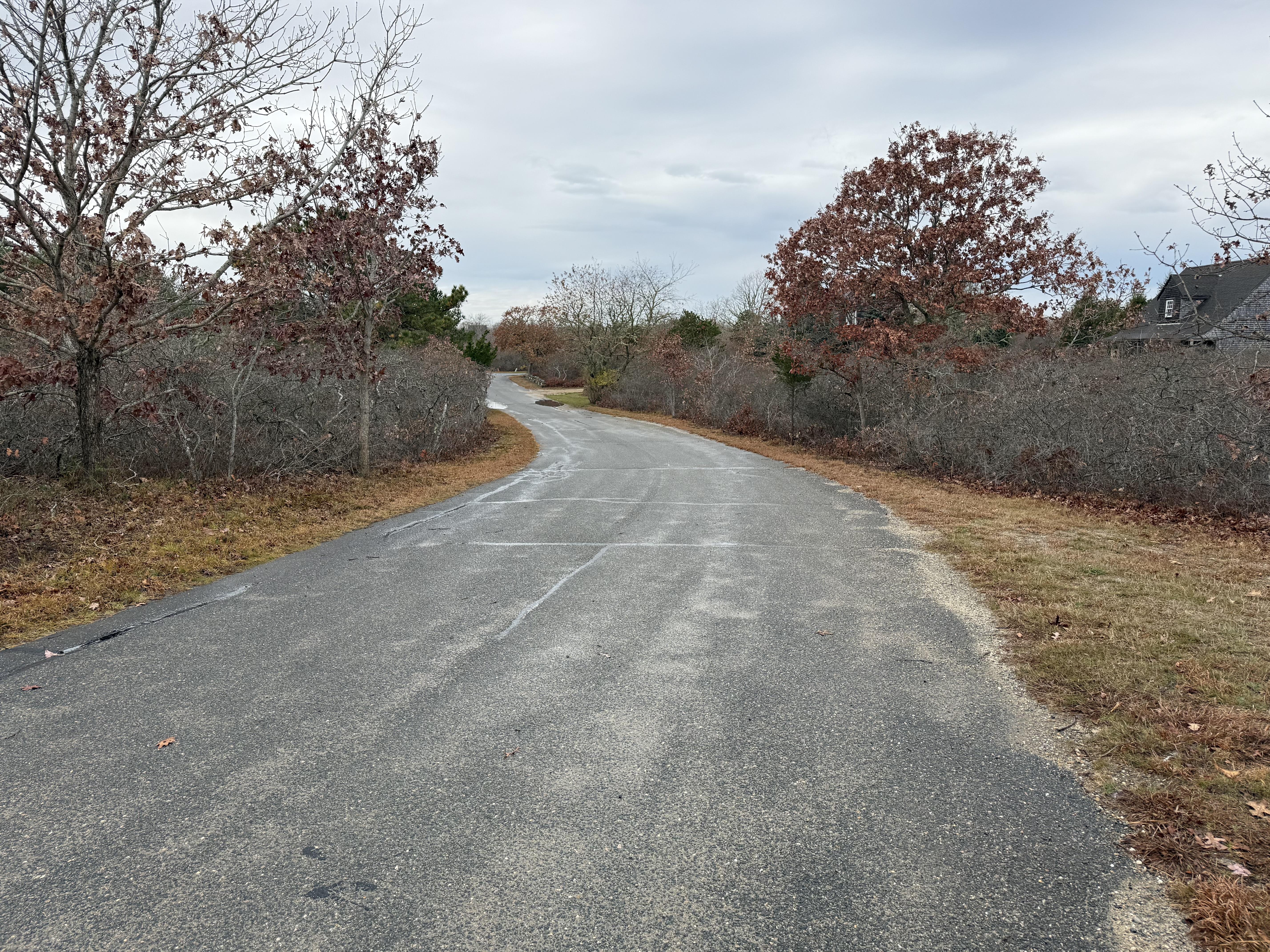 25 Coffins Field Road Edgartown, MA 02539 - Photo 3 of 7 a view of a dry yard with trees