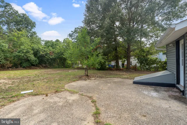 a view of a yard with plants and large trees