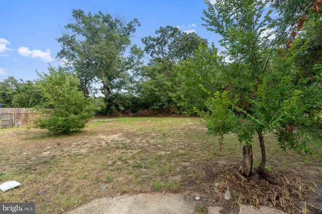 a view of a yard with large trees