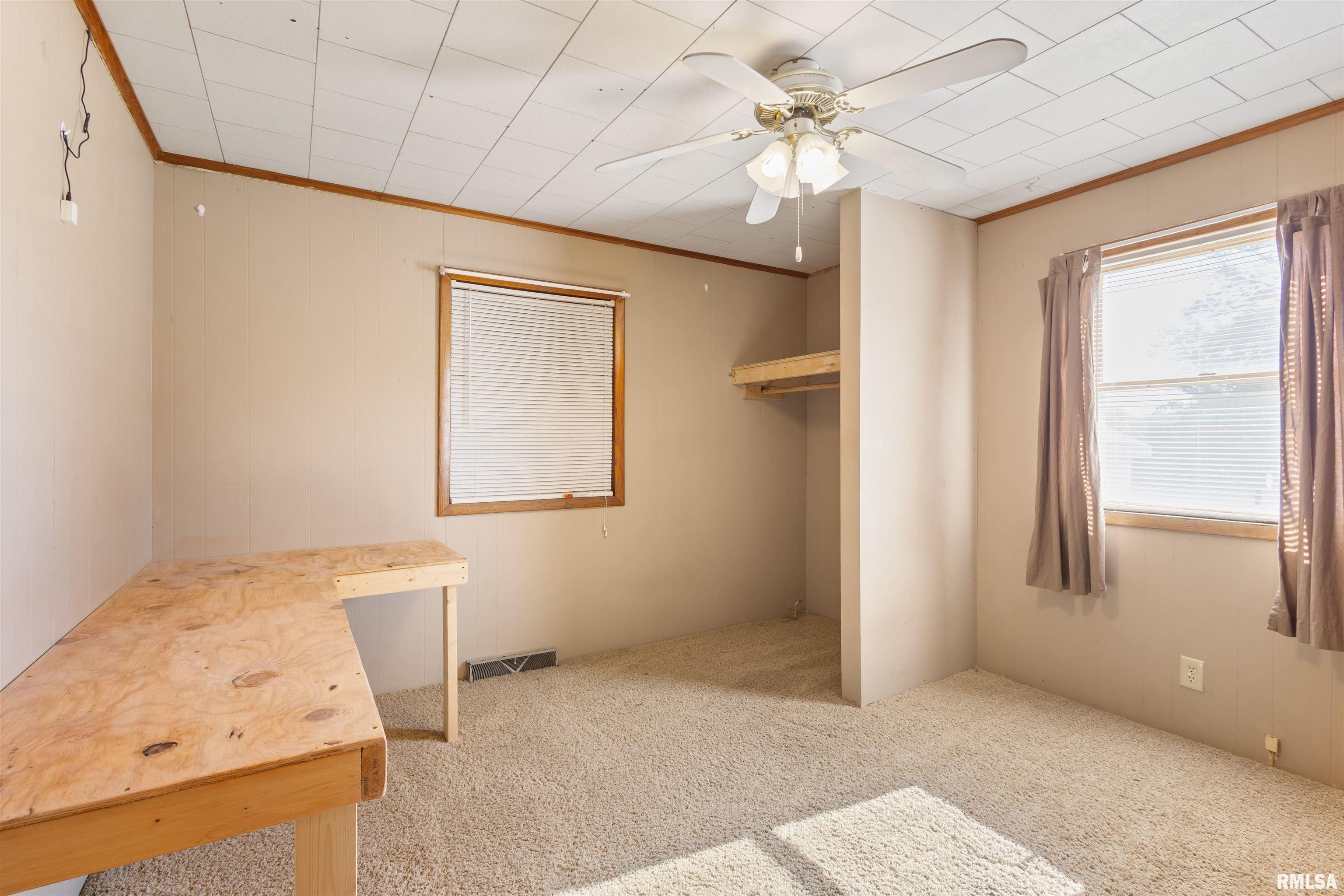 104 George Street Anna, IL 62906 - Photo 14 of 19