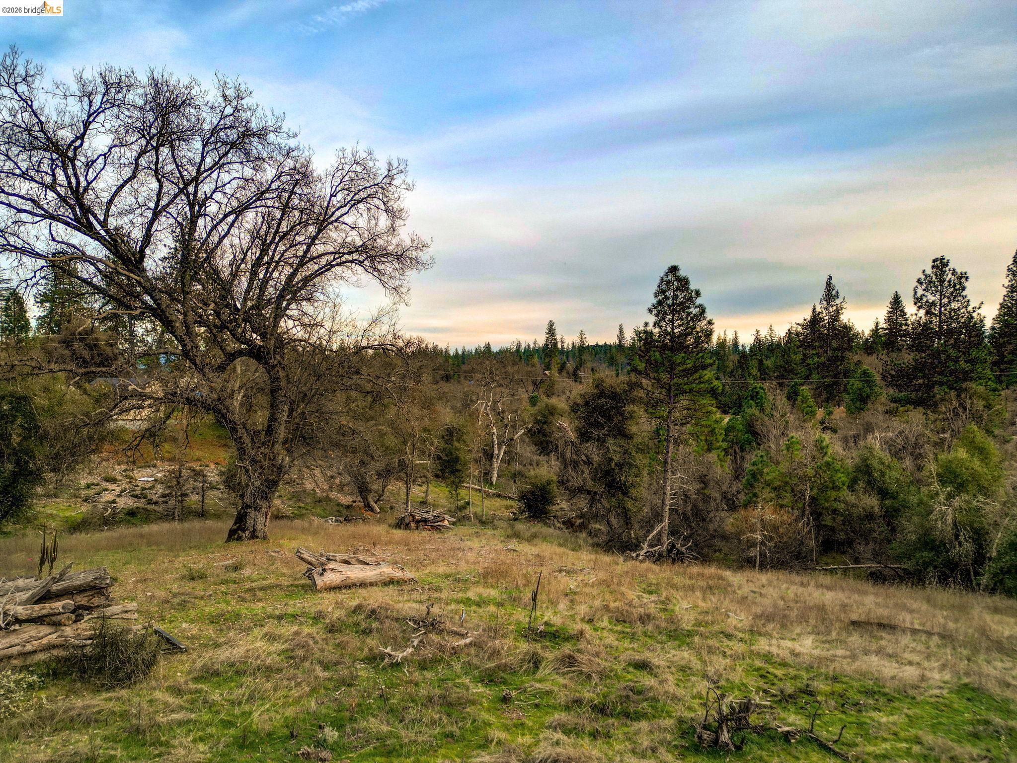 6422 Dogtown Road Coulterville, CA 95311 - Photo 1 of 28 a view of outdoor space with mountain view