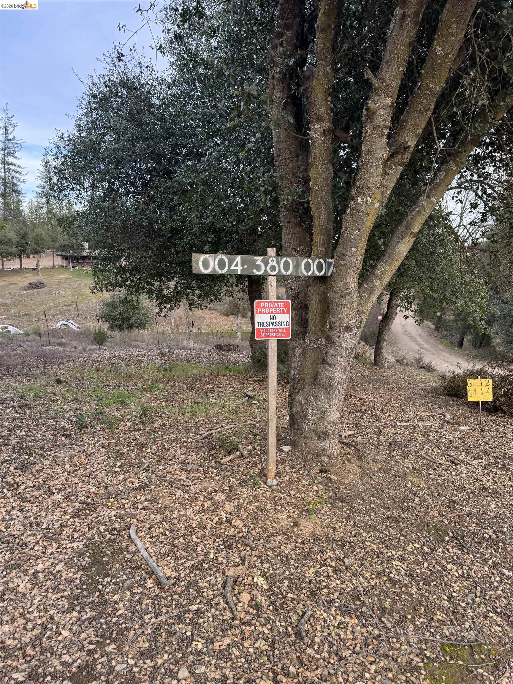 6422 Dogtown Road Coulterville, CA 95311 - Photo 25 of 28 a flag is sitting in the middle of a forest