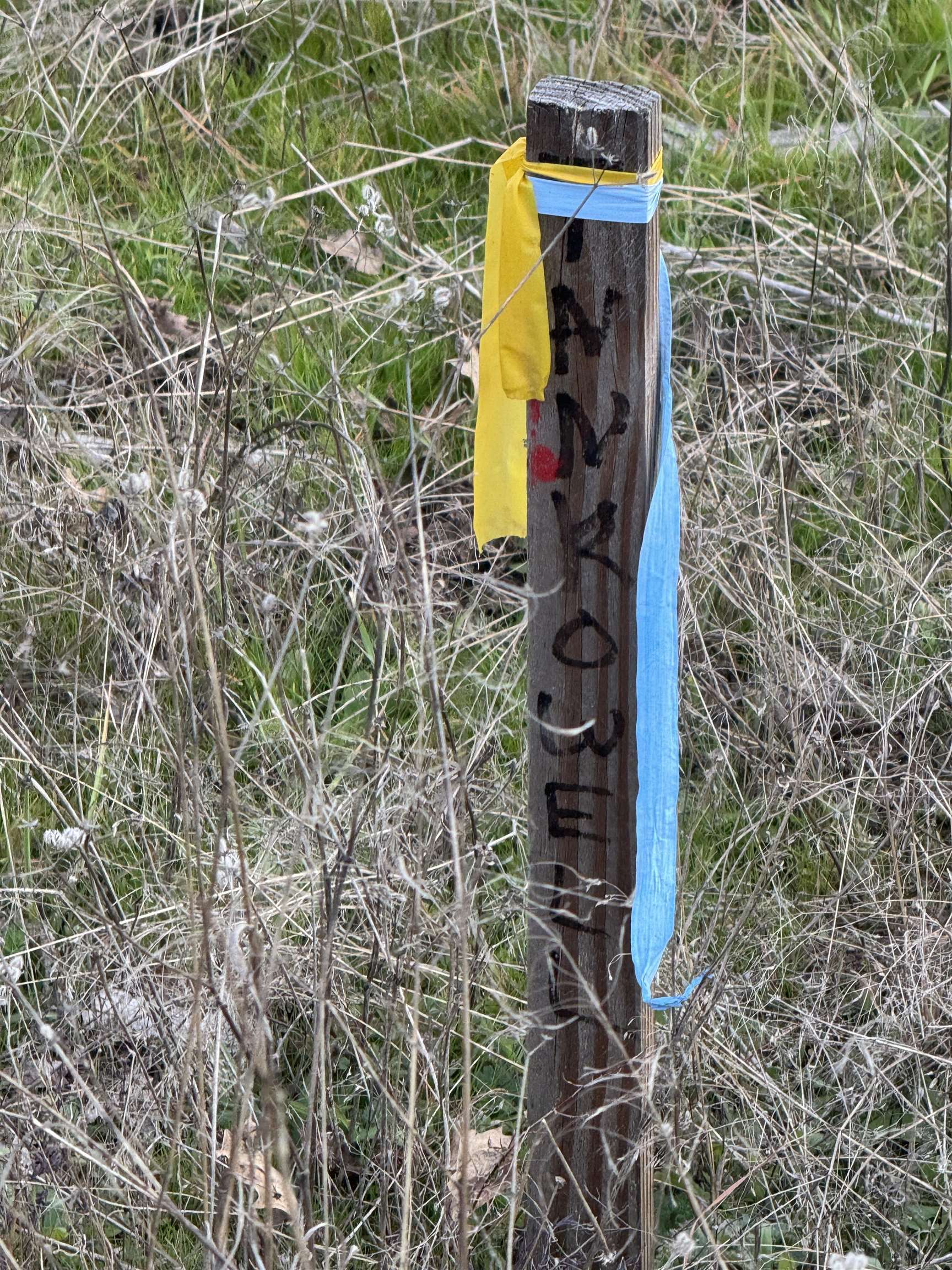 6422 Dogtown Road Coulterville, CA 95311 - Photo 26 of 28