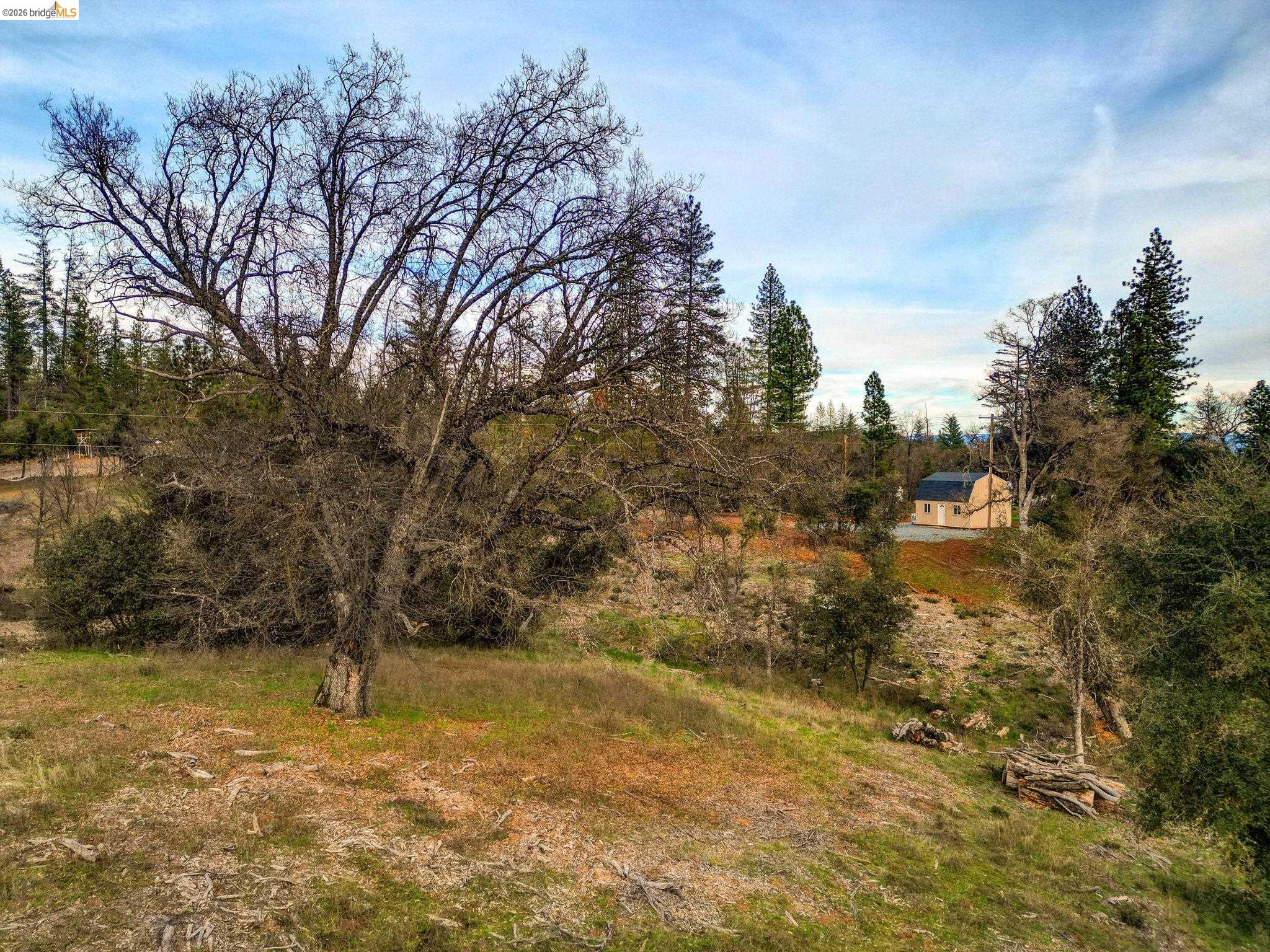 6422 Dogtown Road Coulterville, CA 95311 - Photo 3 of 28 a view of a lake with a yard