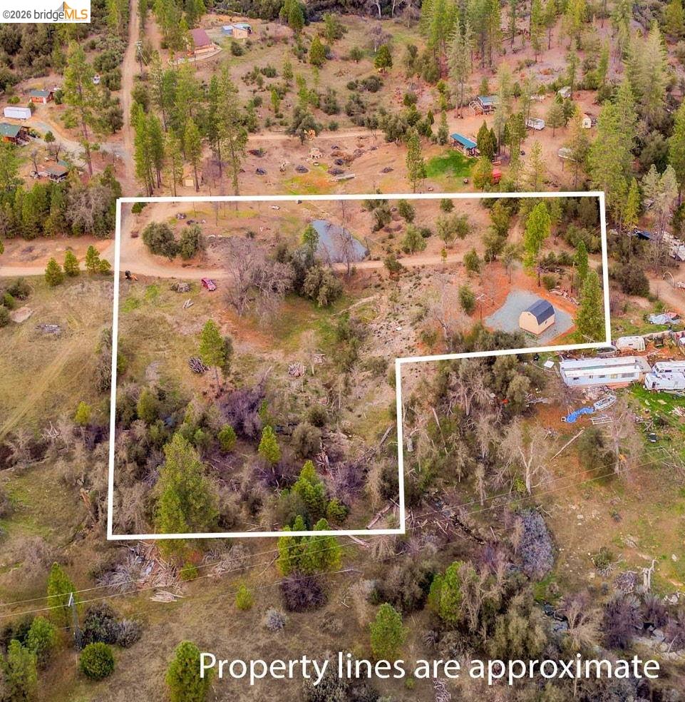 6422 Dogtown Road Coulterville, CA 95311 - Photo 6 of 28 a view of outdoor