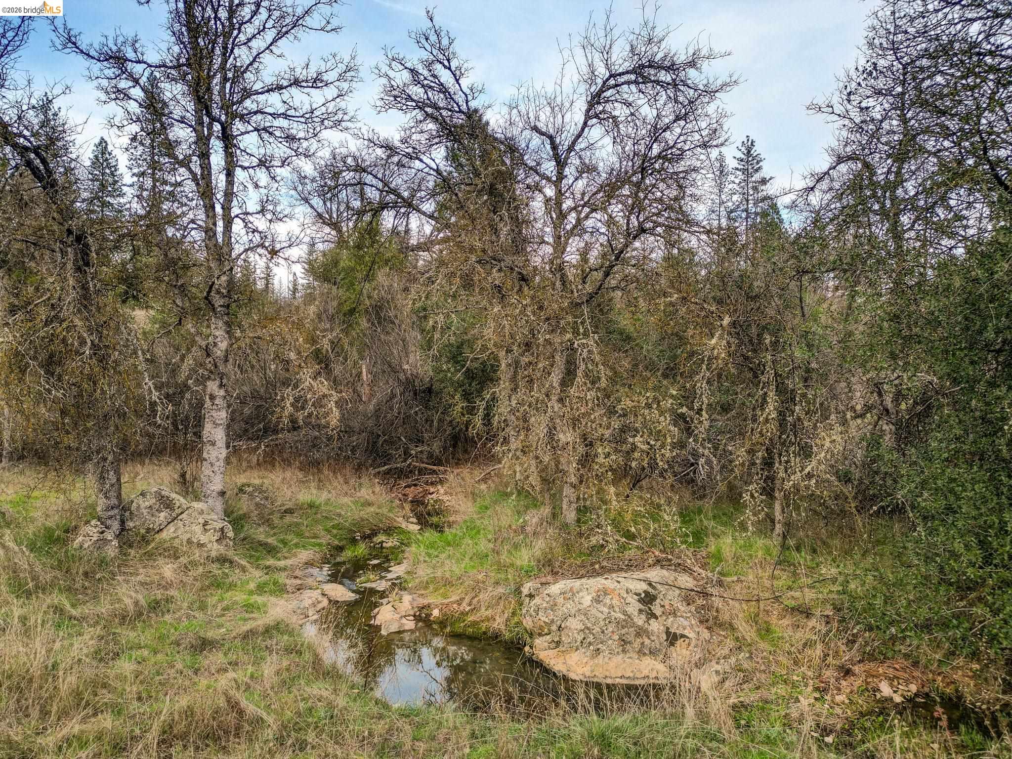 6422 Dogtown Road Coulterville, CA 95311 - Photo 8 of 28 a view of lake view