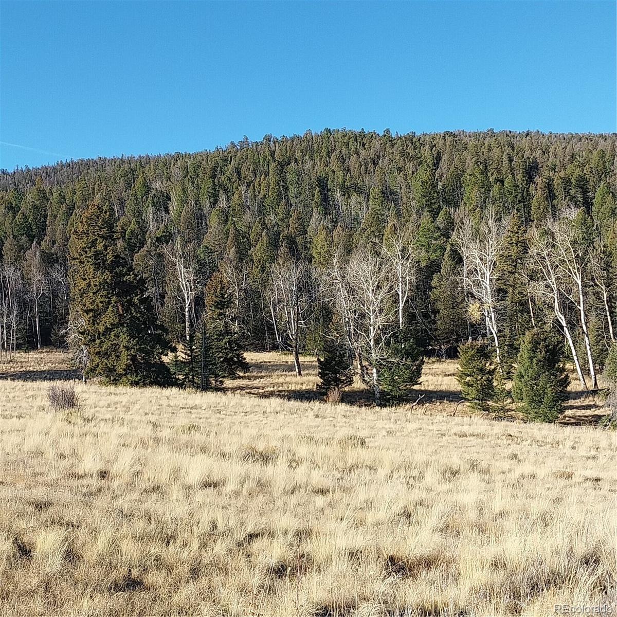 161 Kaufman Road Hartsel, CO 80449 - Photo 14 of 28 a view of white house with a yard