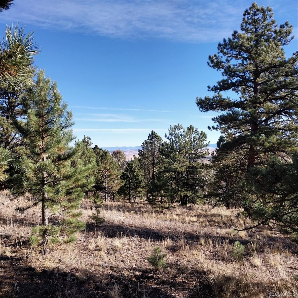 161 Kaufman Road Hartsel, CO 80449 - Photo 18 of 28 a view of outdoor space with mountain view