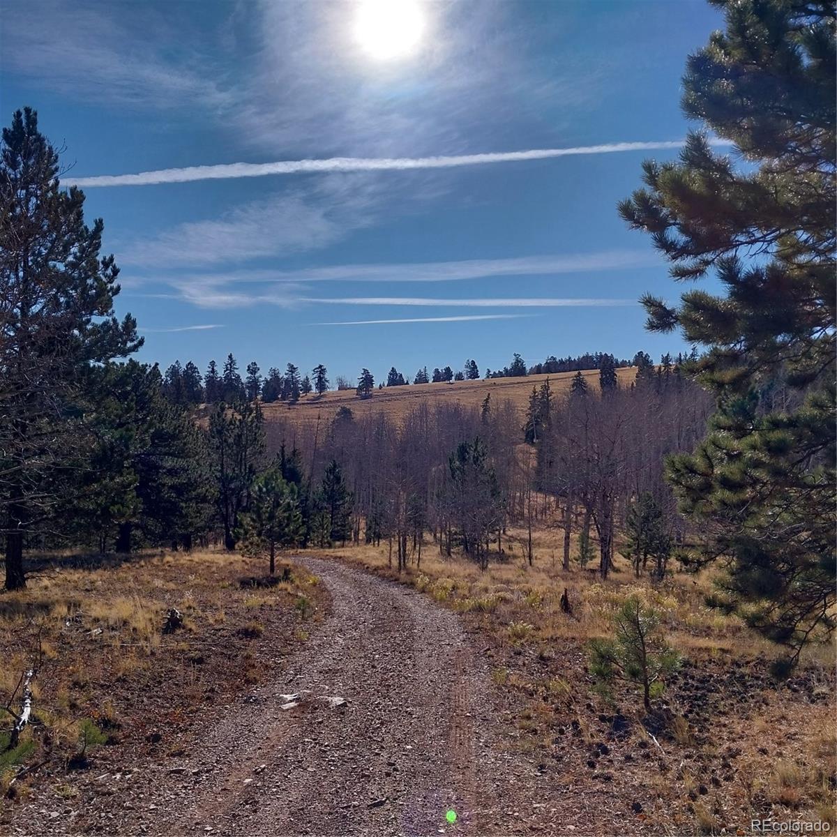 161 Kaufman Road Hartsel, CO 80449 - Photo 19 of 28 a view of outdoor space with trees
