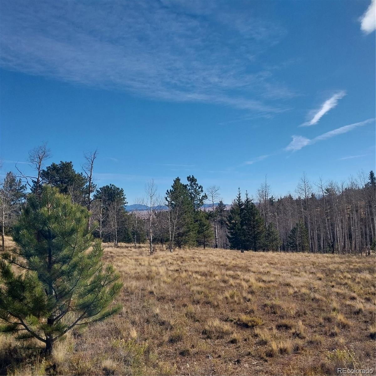 161 Kaufman Road Hartsel, CO 80449 - Photo 20 of 28 a view of a outdoor space with mountain view
