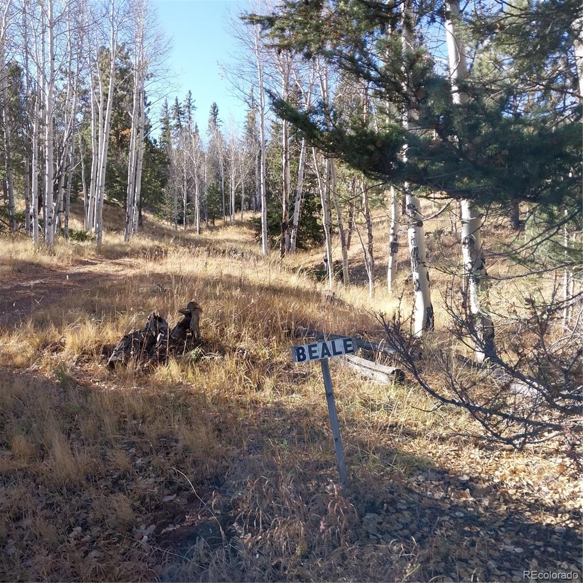 161 Kaufman Road Hartsel, CO 80449 - Photo 26 of 28 a view of outdoor space with deck and trees