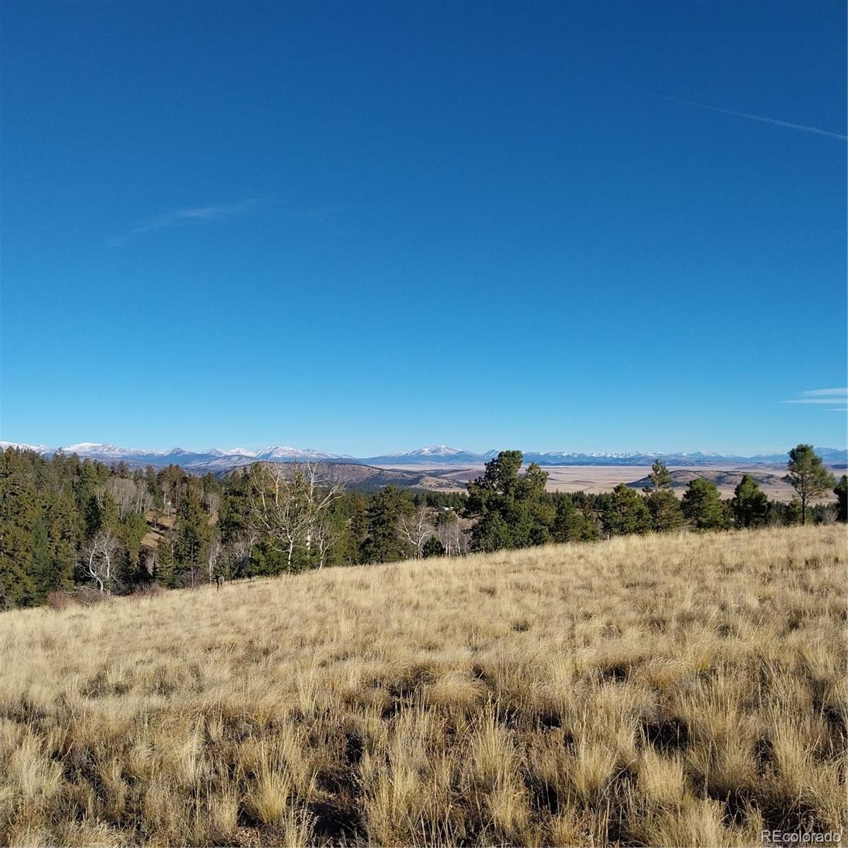 161 Kaufman Road Hartsel, CO 80449 - Photo 28 of 28 a view of sky view and mountain
