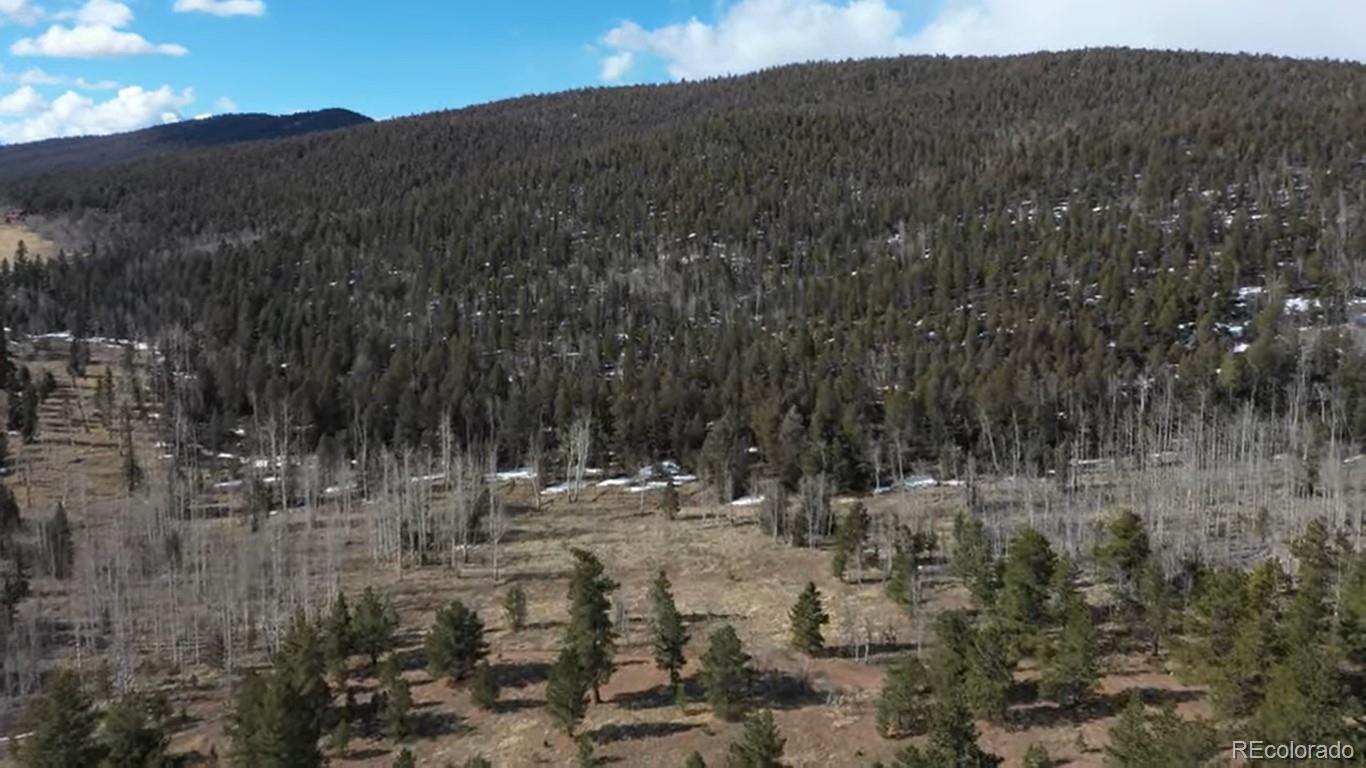 161 Kaufman Road Hartsel, CO 80449 - Photo 5 of 28 a view of outdoor space and mountain view