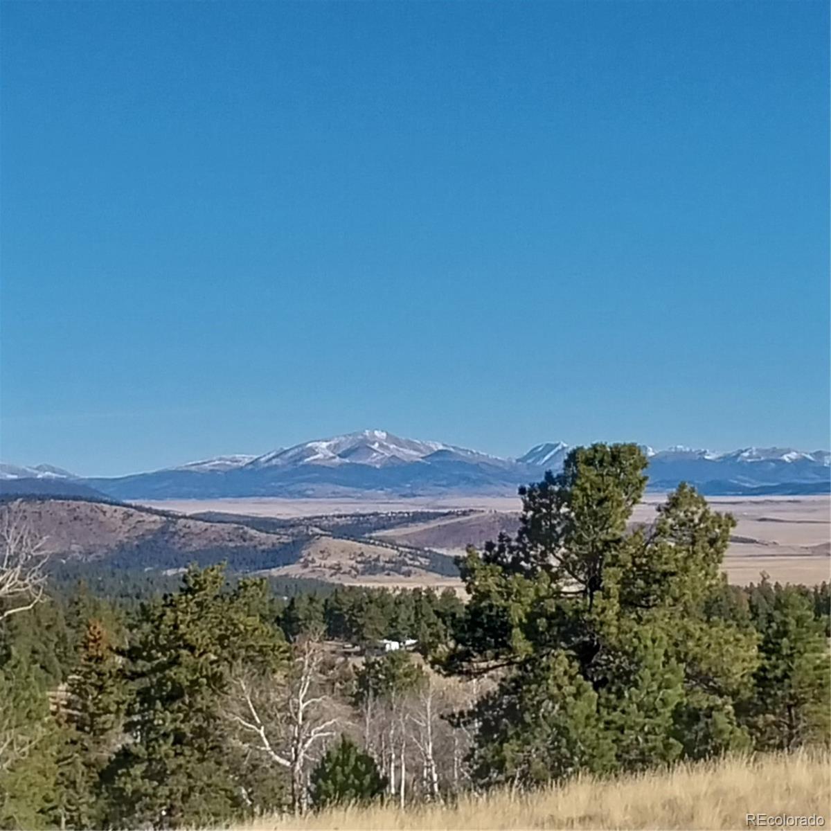 161 Kaufman Road Hartsel, CO 80449 - Photo 6 of 28 a view of a lush green field