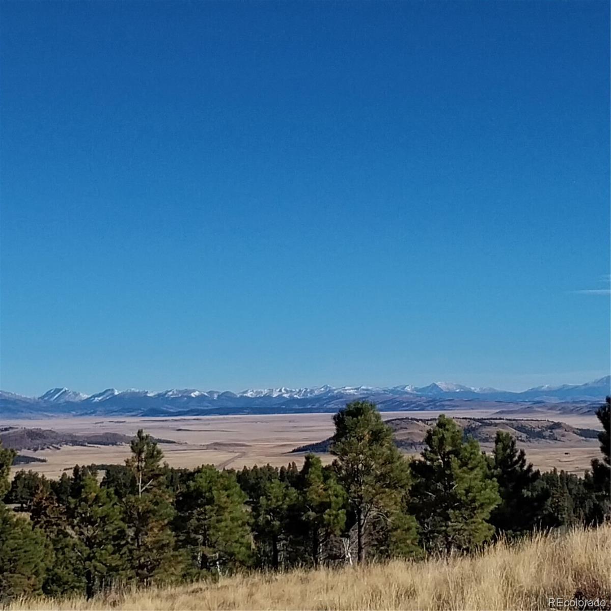 161 Kaufman Road Hartsel, CO 80449 - Photo 10 of 28 a view of lake and mountain