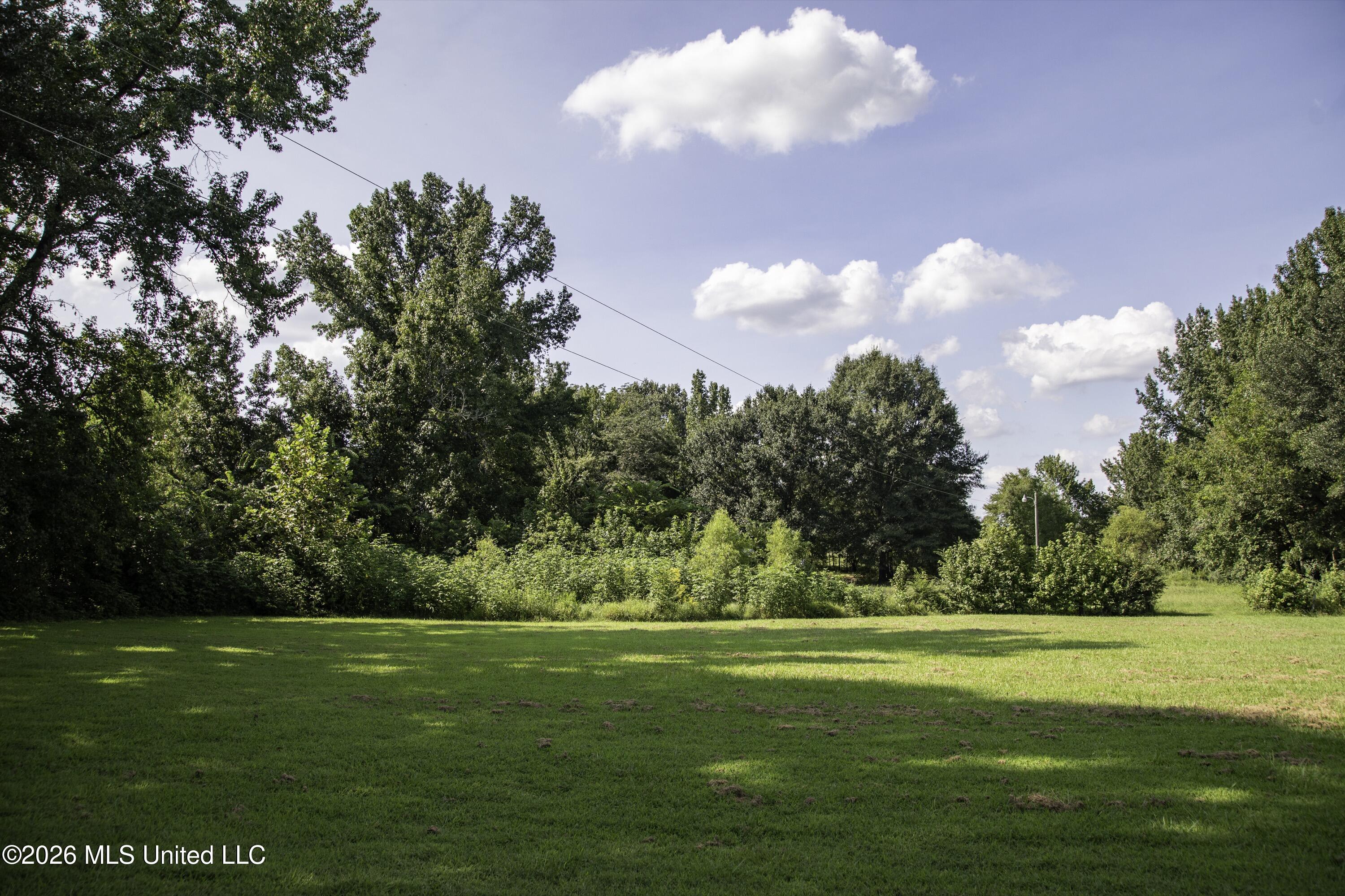 5376 Byhalia Road Hernando, MS 38632 - Photo 39 of 41 Byhalia Road Ground Views