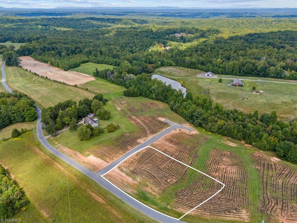 111 Bethel Trace Summerfield, NC 27358 - Photo 2 of 14