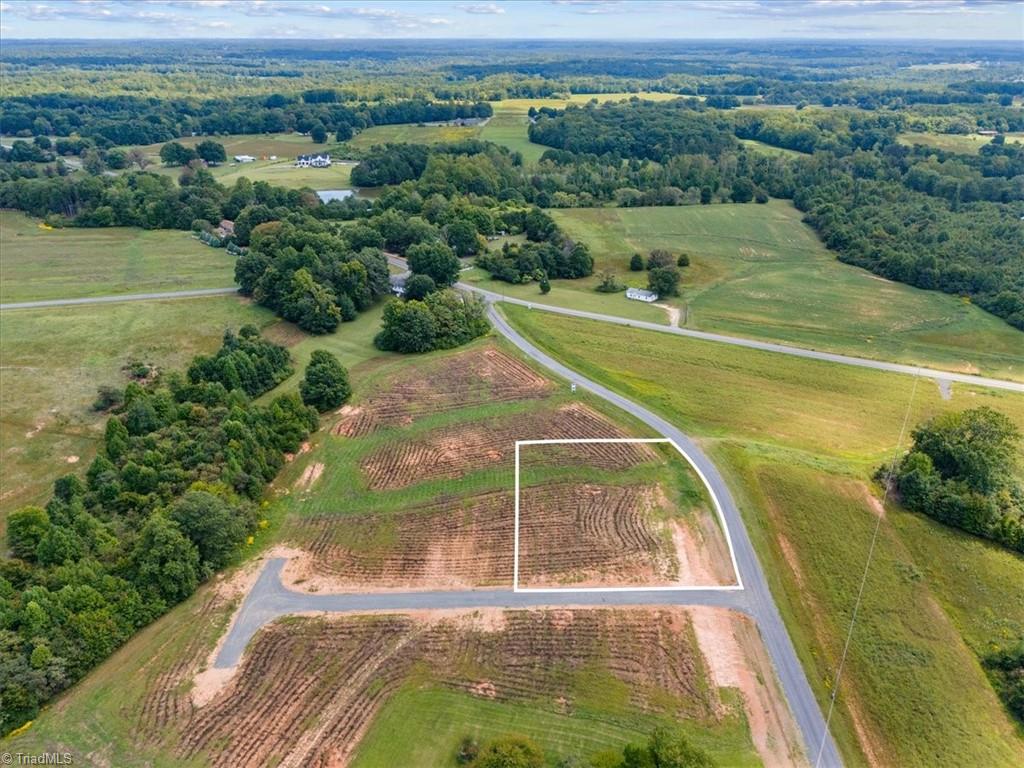 111 Bethel Trace Summerfield, NC 27358 - Photo 3 of 14