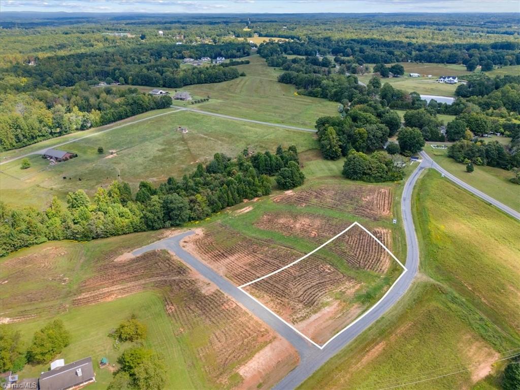 111 Bethel Trace Summerfield, NC 27358 - Photo 5 of 14
