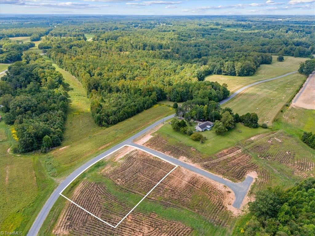 111 Bethel Trace Summerfield, NC 27358 - Photo 6 of 14