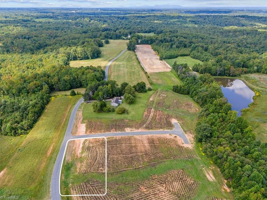 111 Bethel Trace Summerfield, NC 27358 - Photo 7 of 14