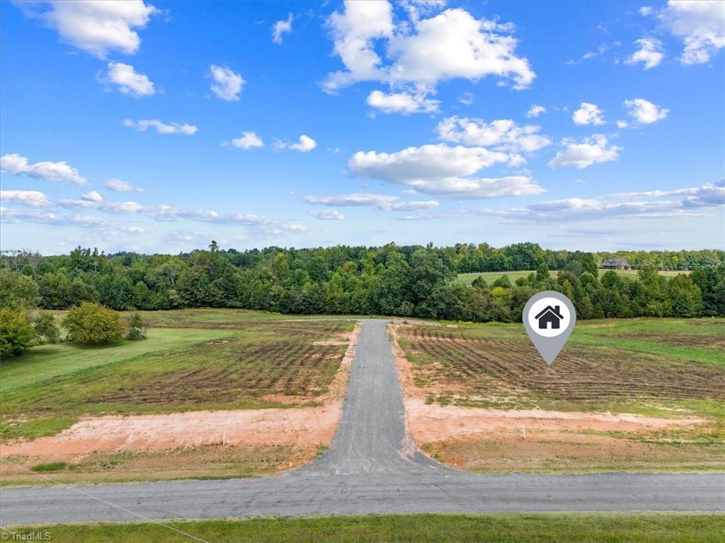 111 Bethel Trace Summerfield, NC 27358 - Photo 10 of 14