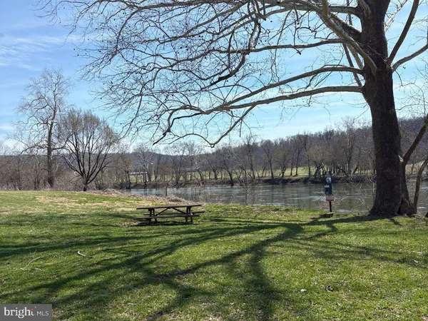 a view of a garden with trees