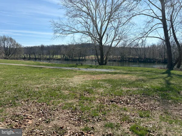 a view of a park with large trees
