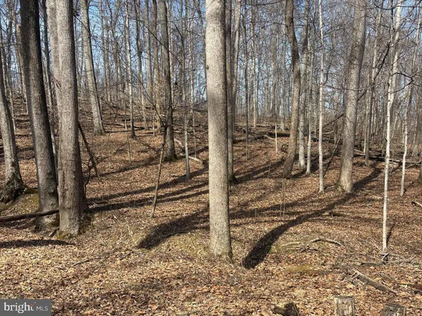 a view of outdoor space