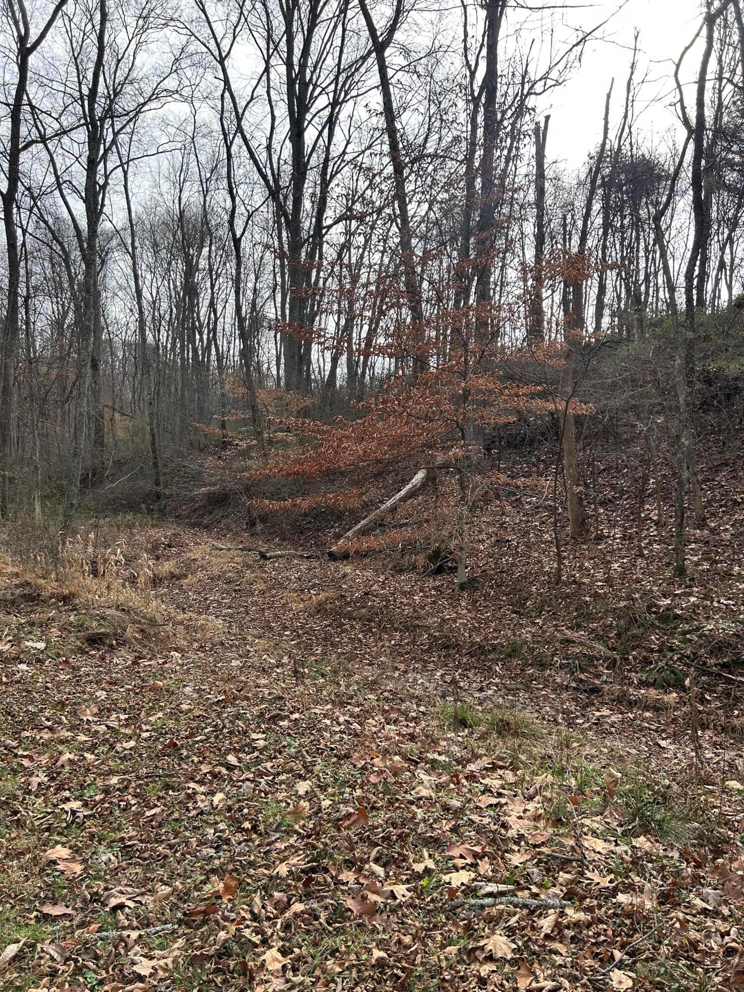 33461 Oliver Road Logan, OH 43138 - Photo 16 of 20 87753273-6F22-43D6-A678-4C4EAC15A137