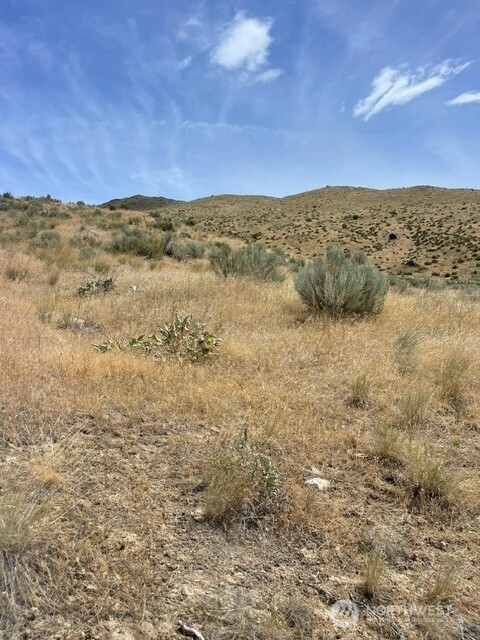 0 Lot 1 Bill Shaw Road Pateros, WA 98846 - Photo 12 of 23