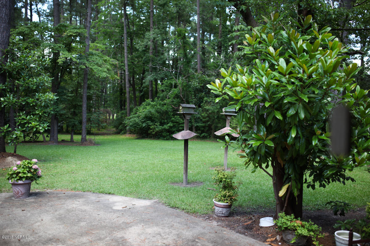 6597 River Road Washington, NC 27889 - Photo 7 of 20 Patio and Back Yard