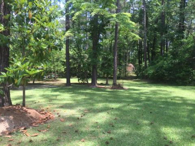 6597 River Road Washington, NC 27889 - Photo 8 of 20 Back Yard