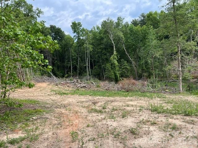 Tbd Fowler Road Granite Falls, NC 28630 - Photo 15 of 22 a view of outdoor space with trees all around