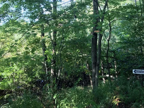 $69,995 | Vl East Woodlawn Avenue, Newaygo, MI 49337