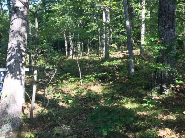 $69,995 | Vl East Woodlawn Avenue, Newaygo, MI 49337