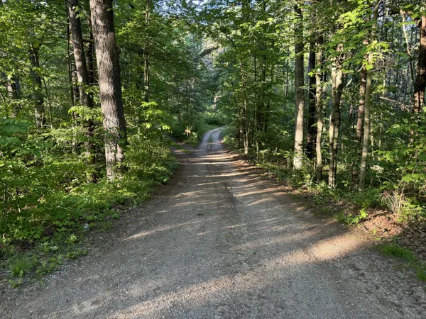 $69,995 | Vl East Woodlawn Avenue, Newaygo, MI 49337