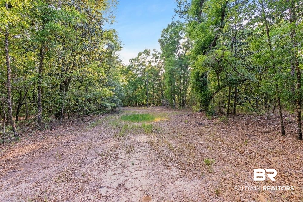 11100 Kali Oka Road Eight Mile, AL 36613 - Photo 29 of 49